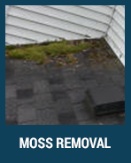 moss-removal